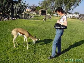 Verletzt, geheilt und Lebensfreudig
